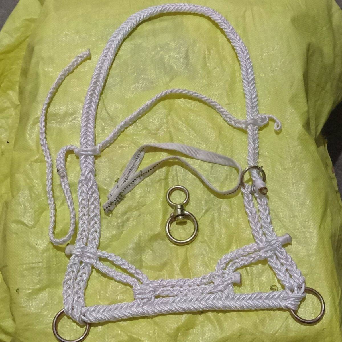 1-N46 WITH A SINGLE RING HEAD