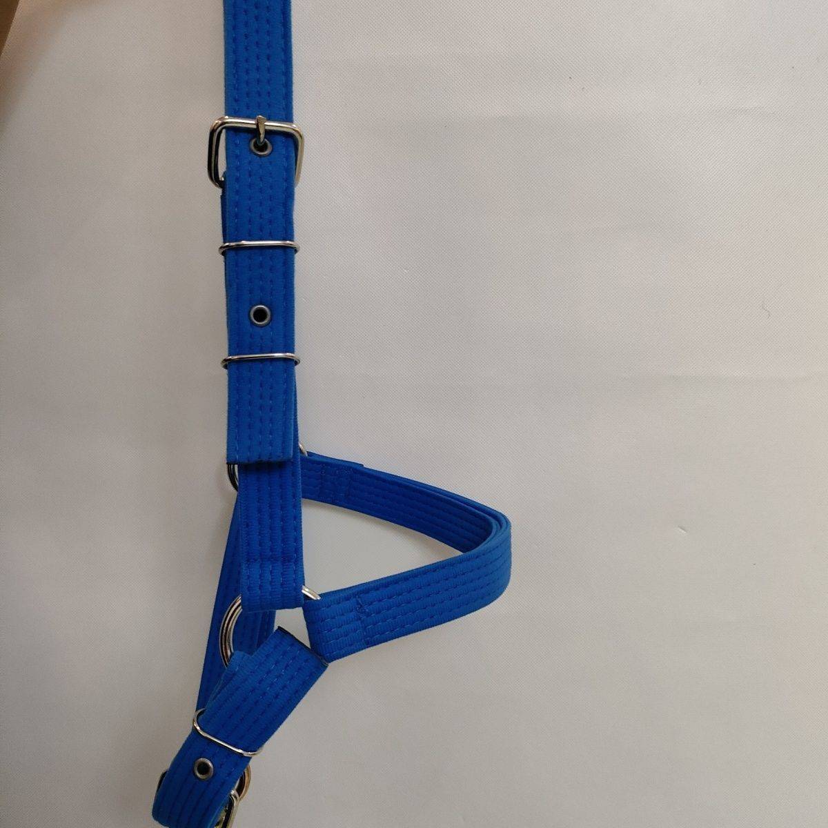 One in the big blue ring, 86489550