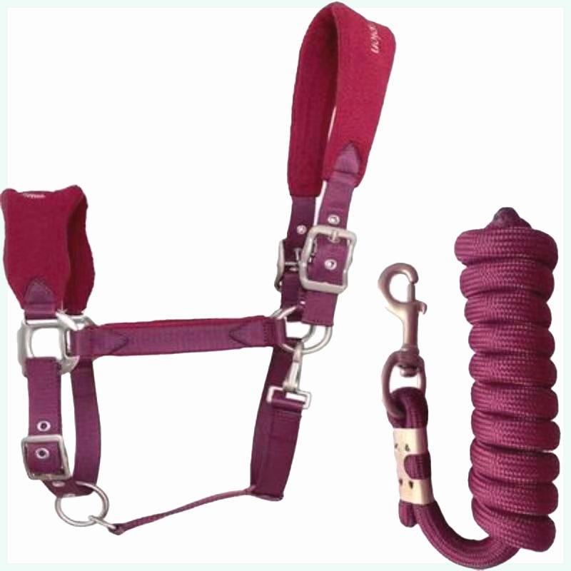 Shaking pill -anti -grinding horse cage head+2 meters of horsepower rope set can regulate the horse head horse head set pull horse rope combination