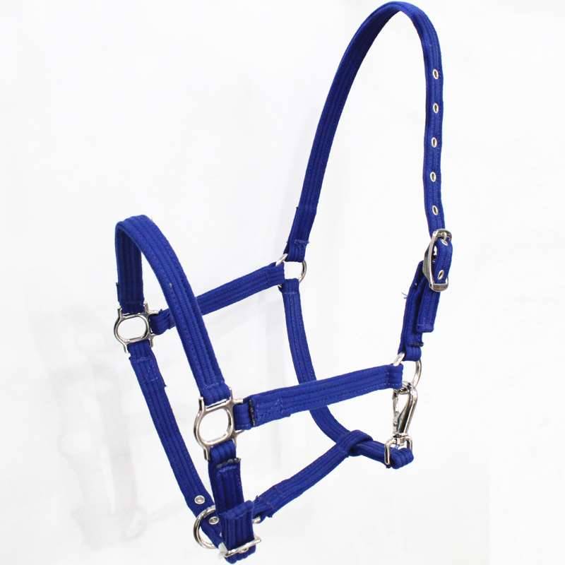 Pony-head tampons, horse-to-cubs, pony-sized, ten to one new item
