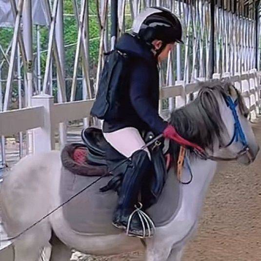 Children's saddle horses accessories stainless steel safe horseshoma safety protection set ride riding products new products