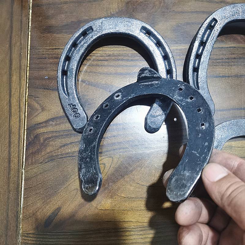 Warm -blooded horse palm disorder, horse racing forging steel hoof iron thickened and wide horses horses horses horses horsesy