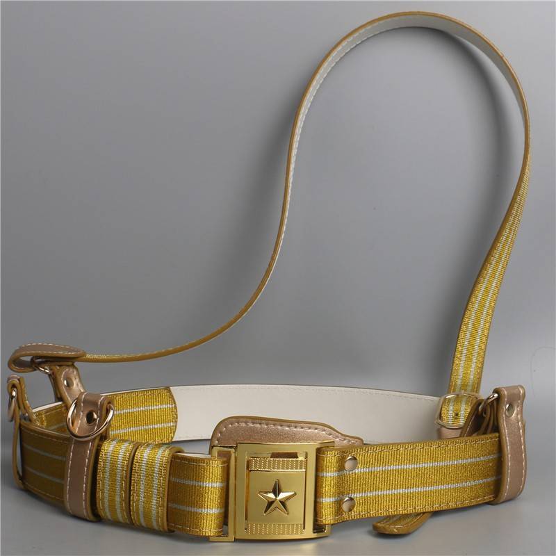 Gold slash belt