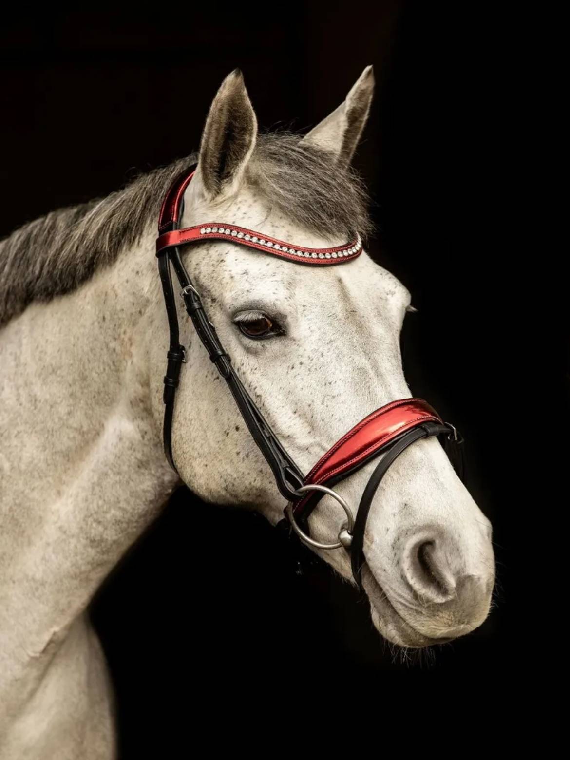 British import Equipride brand all -cowhide British Water Telka Racecourse Dance Equestrian Horse Horse