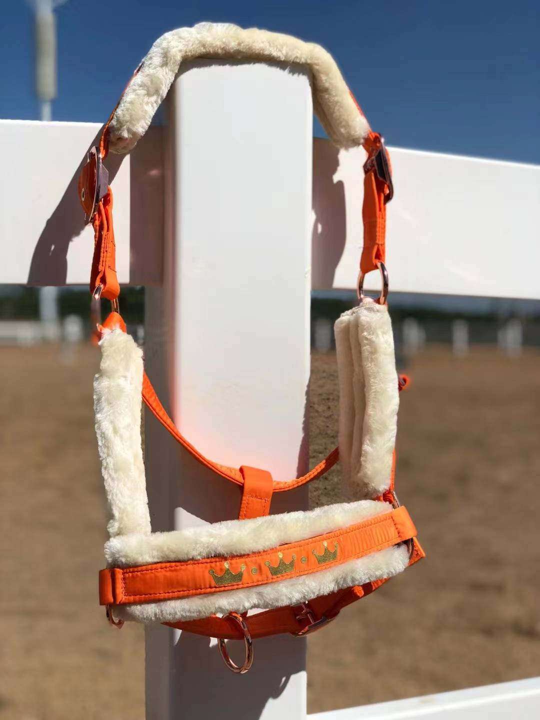 orange xl
