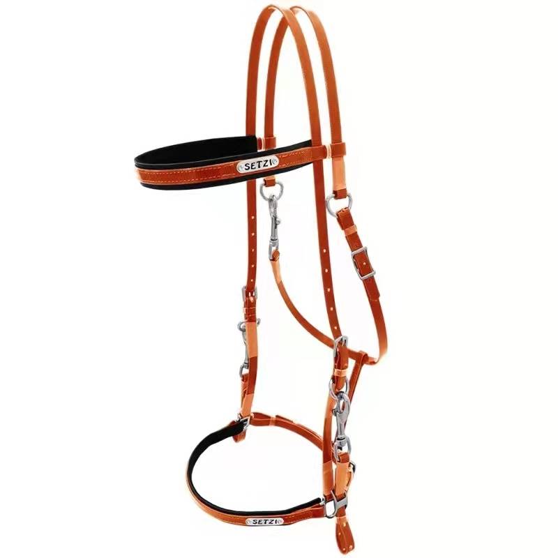 Italy Setzi (Cess) Setzi horse horses Shuile kit