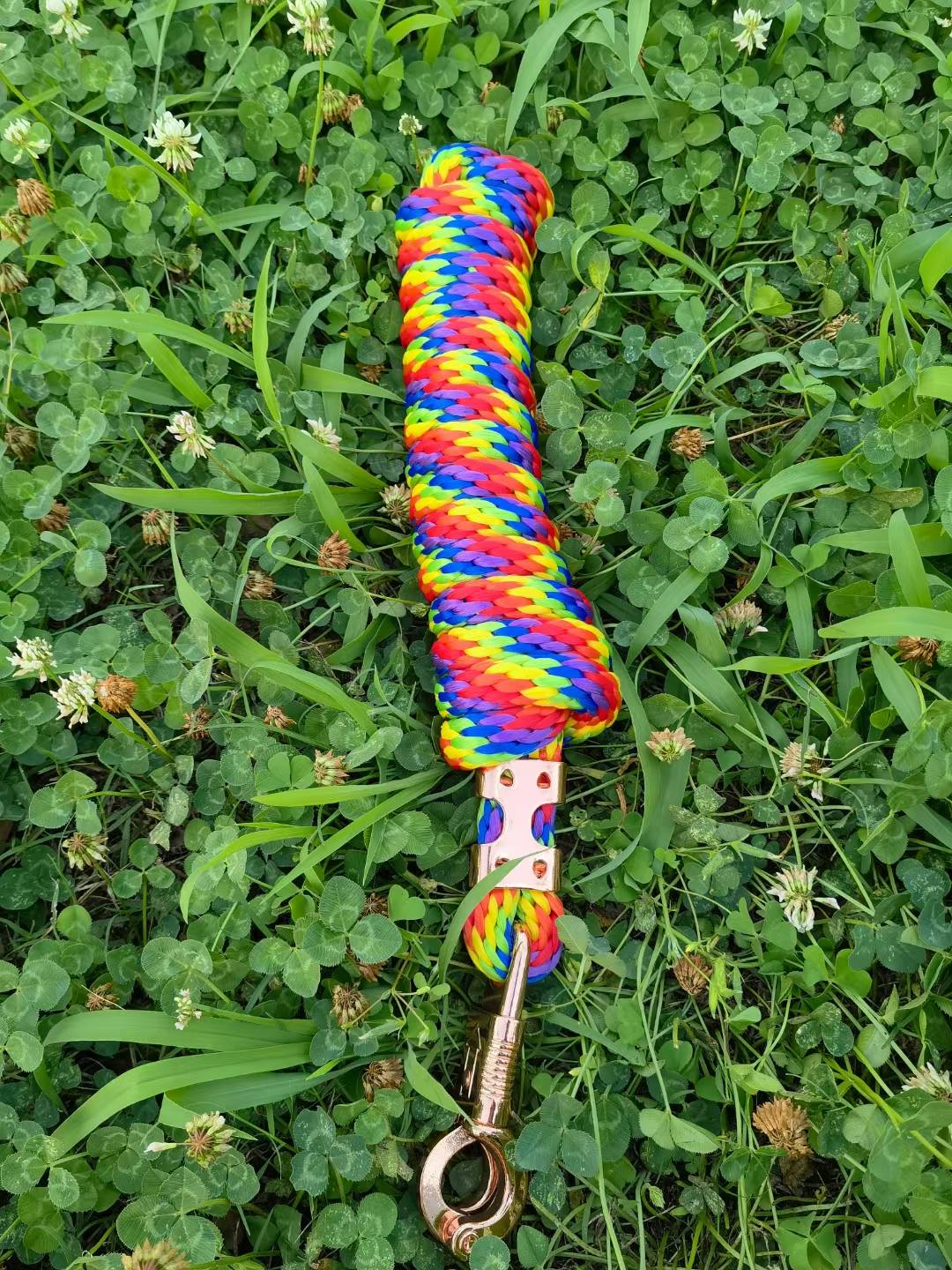 Rainbow gold button
