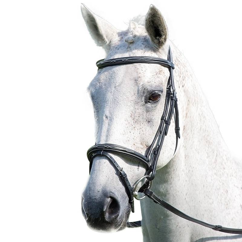 British SHIRES Standard Avignon (Avignon) Creative British Waterproof Rocky Malaysia 8218086