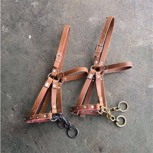 Horses with a tweezer and a tweezer with a tweed