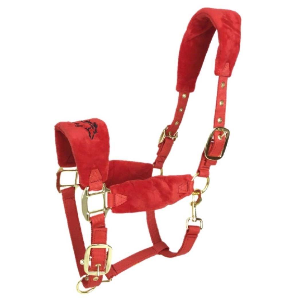 The new horse's gear is for the size of the horse's horse