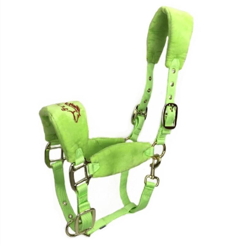 SEVEN COLOUR-PROOF THREE-LETTER L-LARGE GREEN