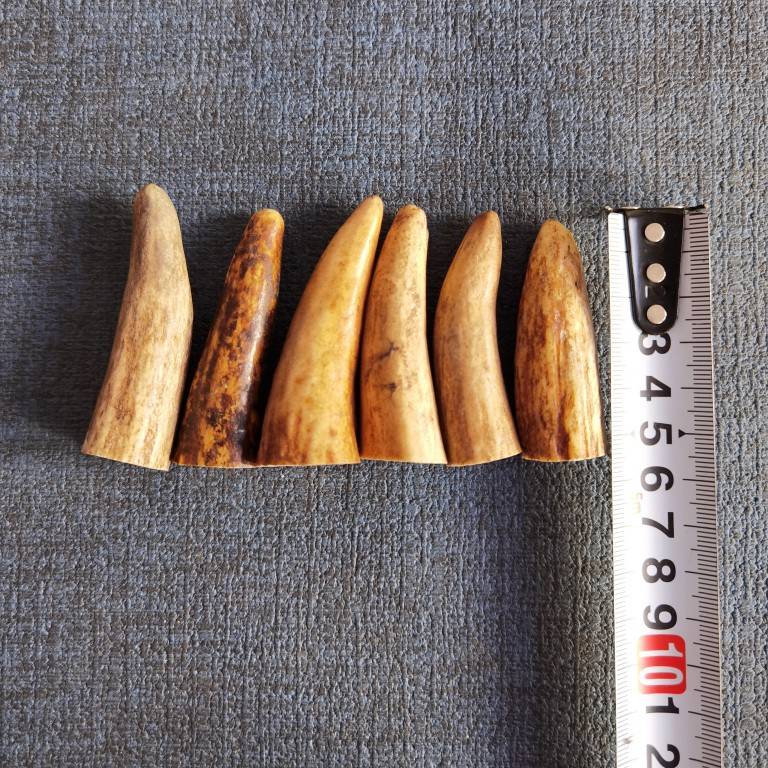 five to six centimeters and two randomly