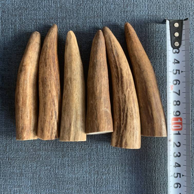 solid length 10-12 cm randomly