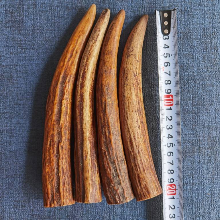 twenty-two centimetres in solid length
