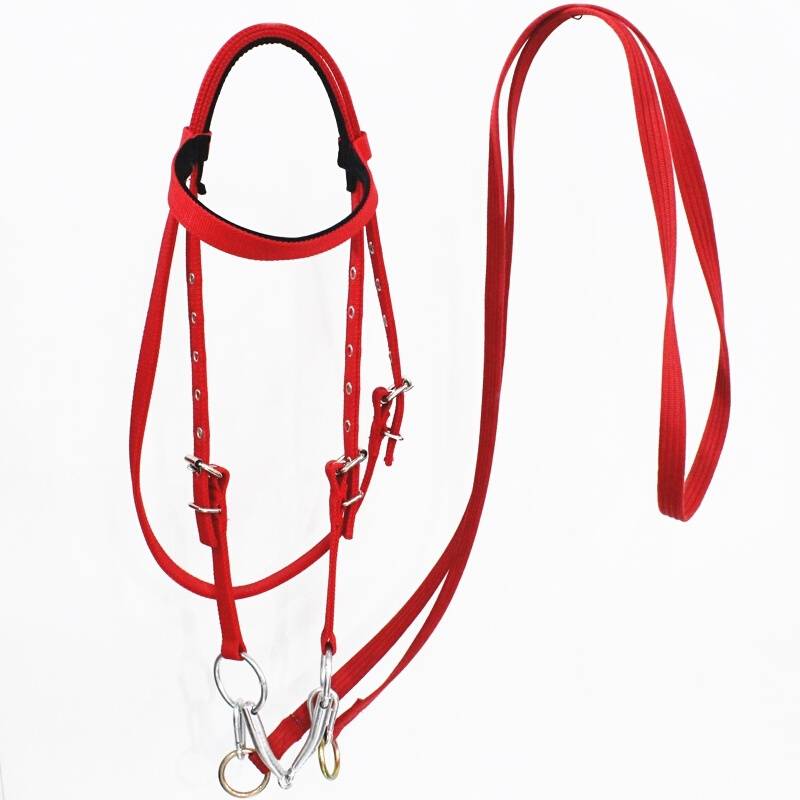 Shuile reins chewed full set of supplies, horses, large and small horses, horses, horses, 10 gets, 1 free of charge*