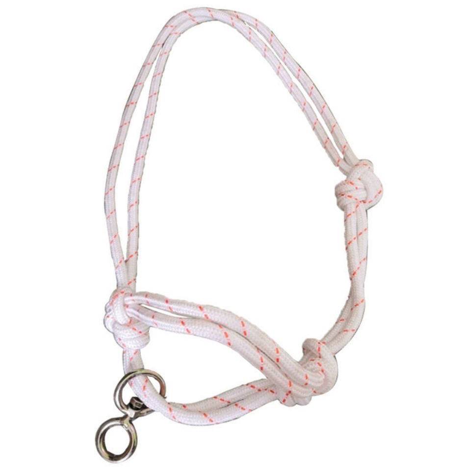 Follow the cow cow cage, the cow rope, the cow neck cage, the cow rope set of cattle rope reins nourishing field equipment