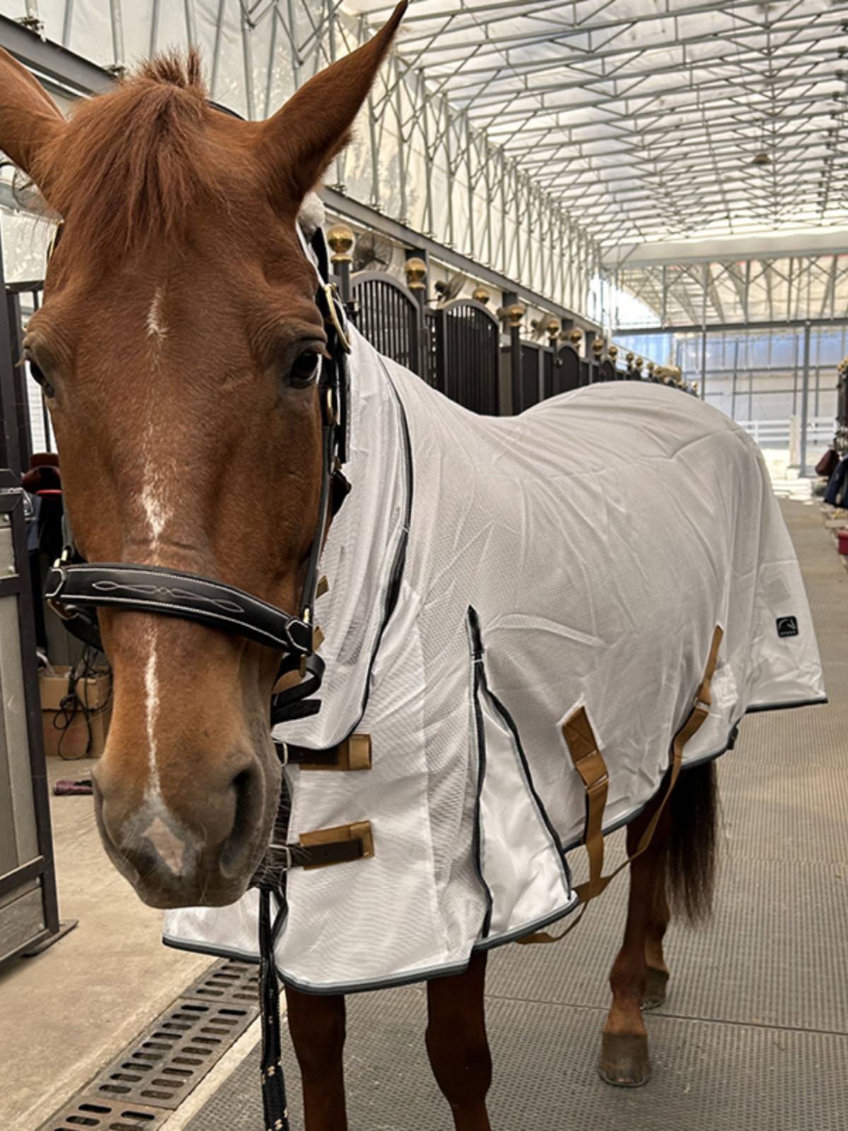 EPONA net cloth horse clothes with a fence in summer, mosquito anti -breathable, comfortable horses, equestrian sports horse products