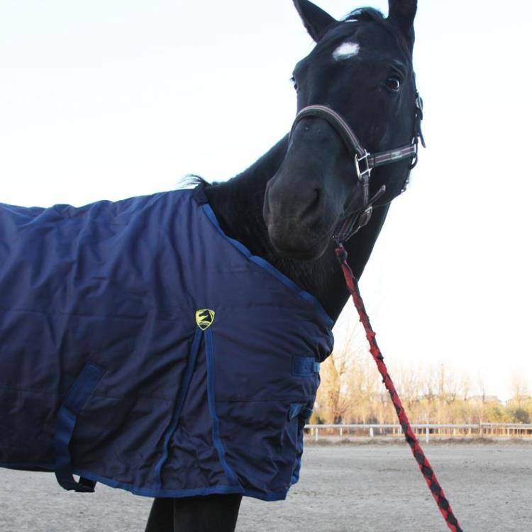 Winter waterproof and breathable thickened cotton horsema in winter horsepower thick horses, Rocky Malaysia 8216048