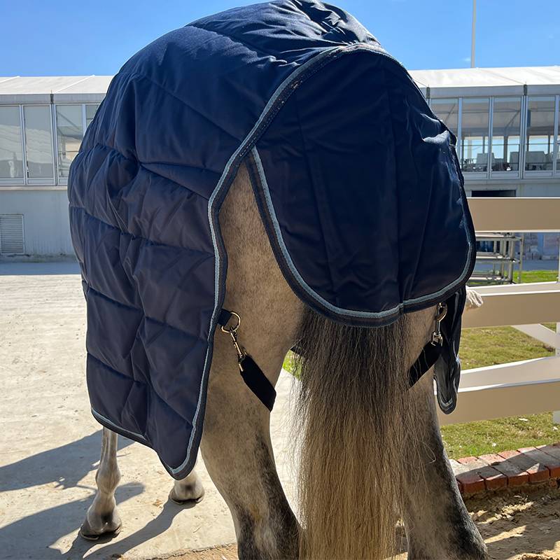 EPONA Winter Horse 400g indoor cotton horsepower, cold and warmth, comfortable horse supplies equestrian sports