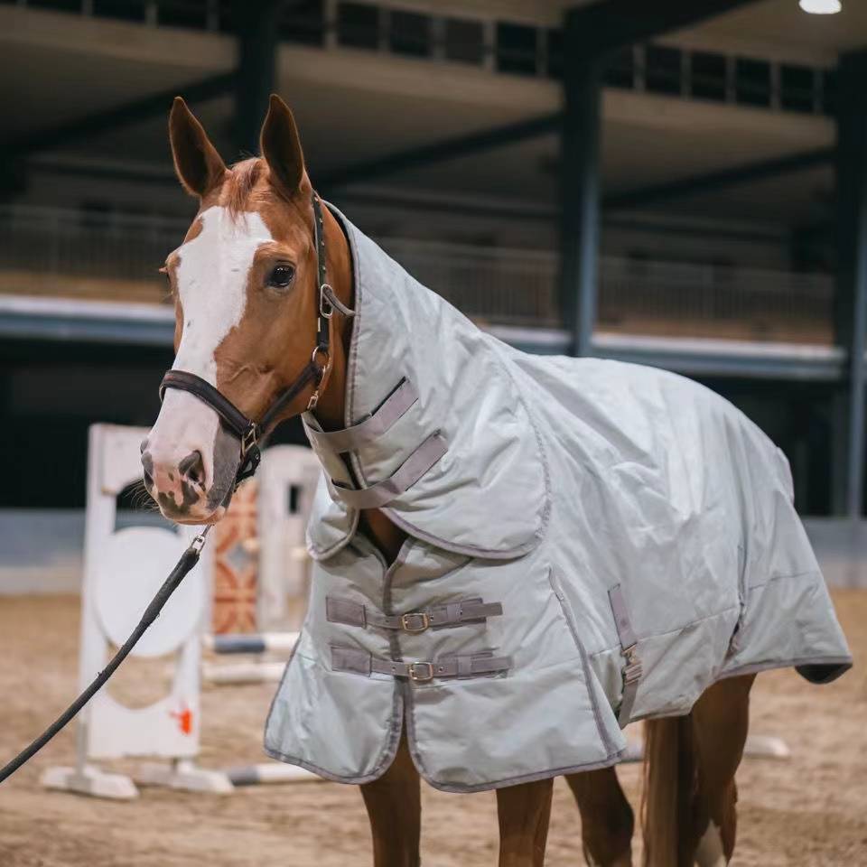 In winter, I'll train you to wear a thaw and a cold-proof pony suit to protect you from the cold