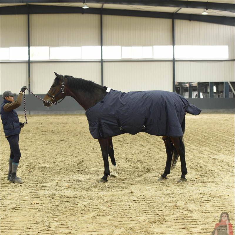 In winter, I'll train you to wear a thaw and a cold-proof pony suit to protect you from the cold