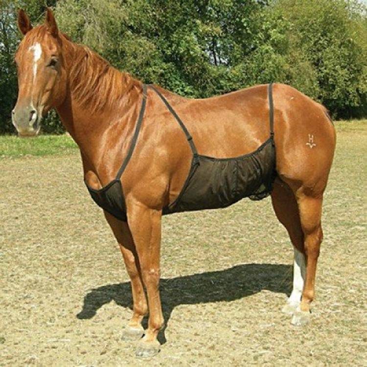 The horse's vest is covered in a four-season mosquito-proof fly-resistant wind to grind