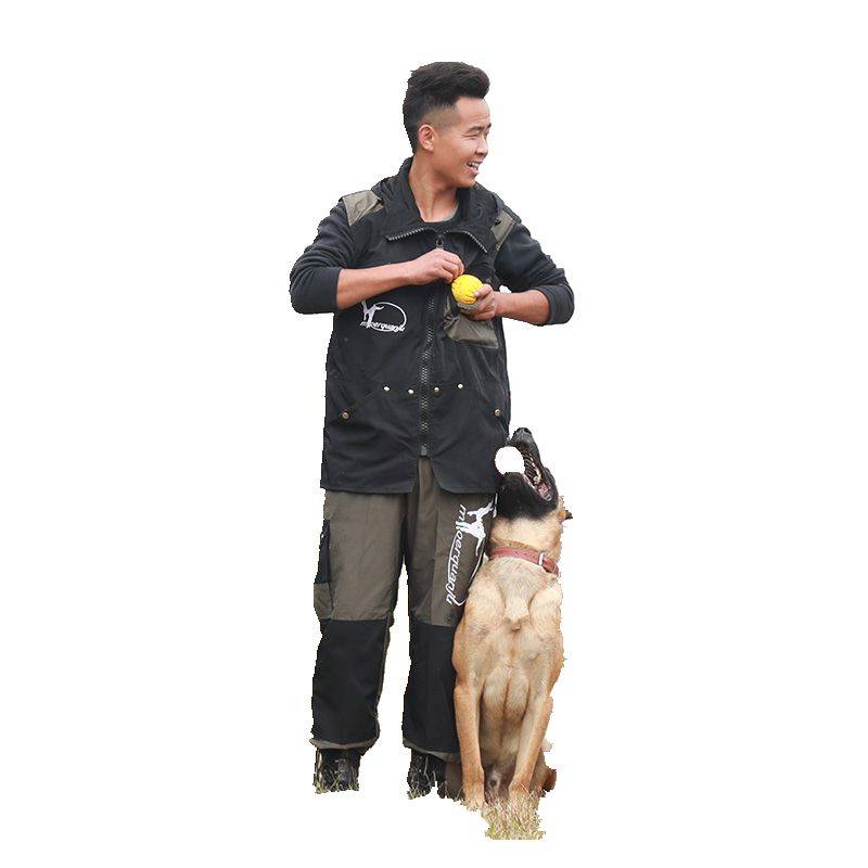 Professional K9 training service dog vest horses dog dog training teacher clothes bite the vest vest heart anti -scratch bite