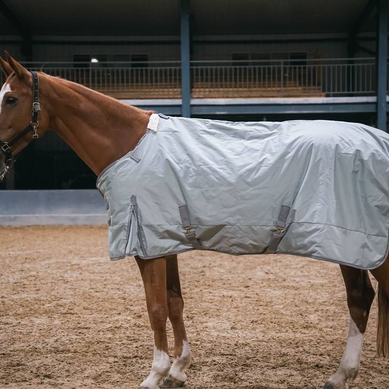 Winter plus cotton -proof wind horsesy horses riding training equipment anti -cold horse horses, horses, horses, necks, cold and cold, cold -resistant clothes