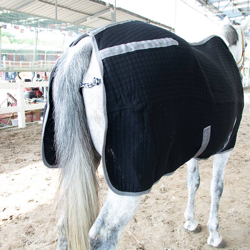 EPONA knitted horses, autumn and winter warming, windproof and comfortable equestrian sports horse supplies