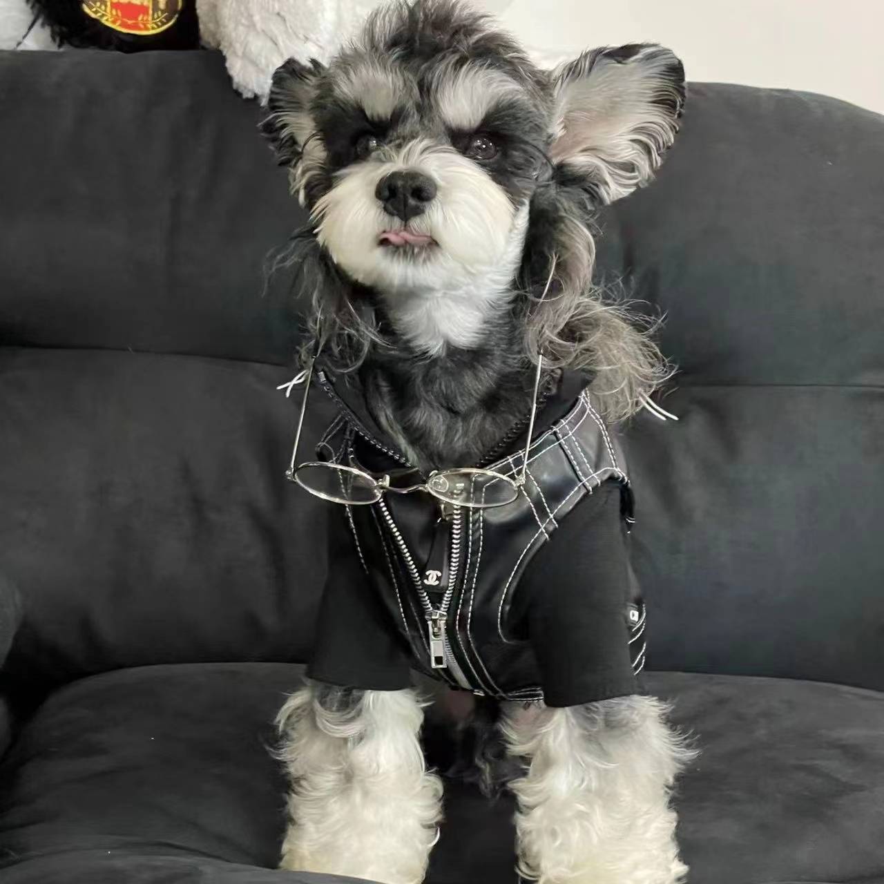 Autumn and winter dog clothes leather jacket pets Sherry Malzis Teddy Bear Jokxhaex Shiba Inu cat