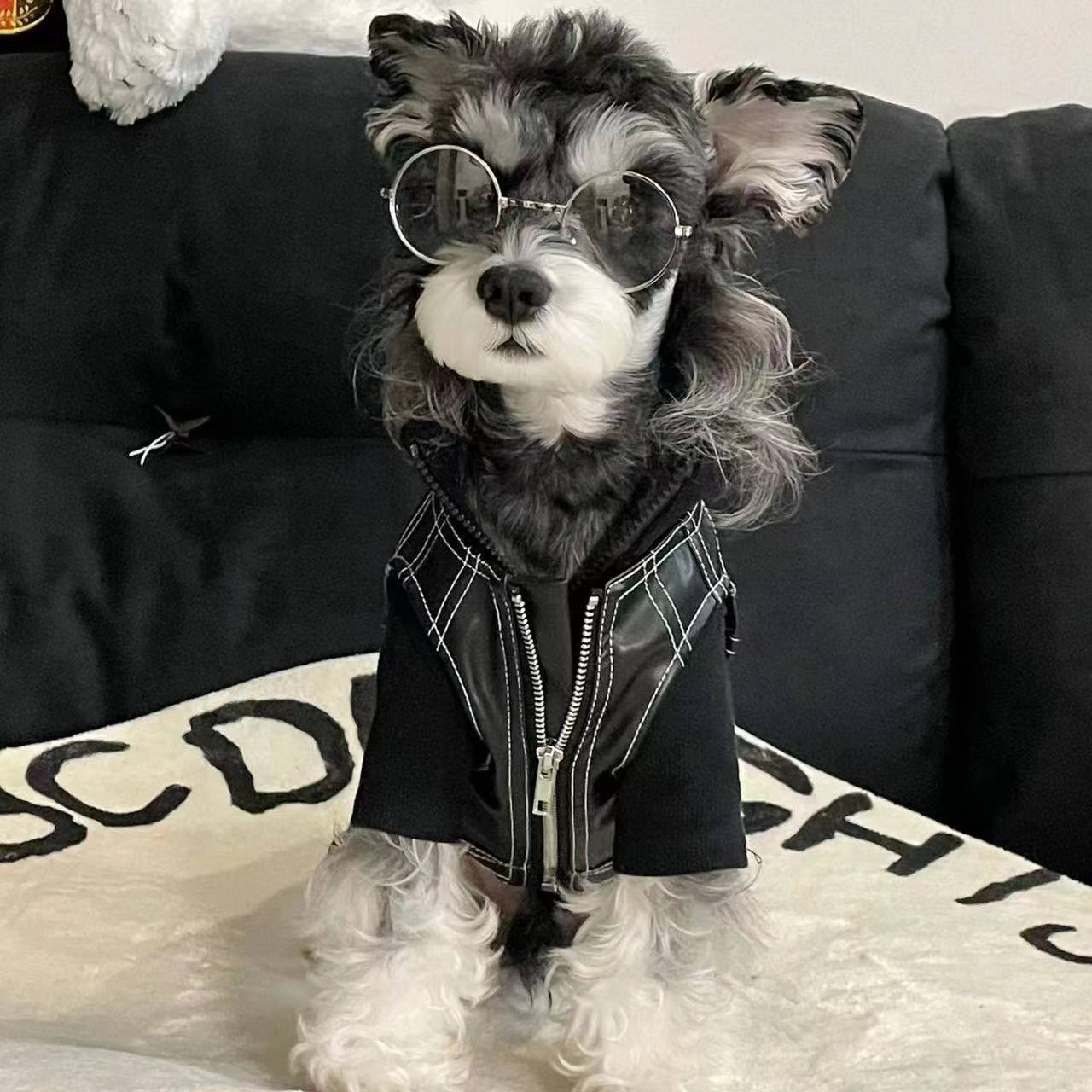 Autumn and winter dog clothes leather jacket pets Sherry Malzis Teddy Bear Jokxhaex Shiba Inu cat