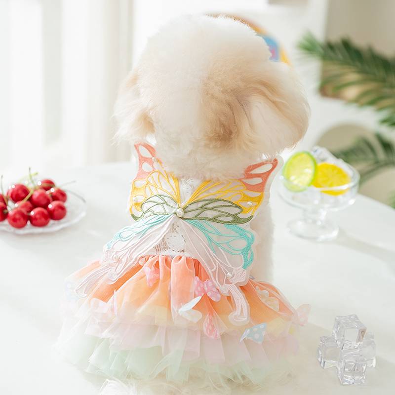 Pet puppy butterfly princess skirt in summer thin clothes than Bear Teddy Yorksham Malzis cat
