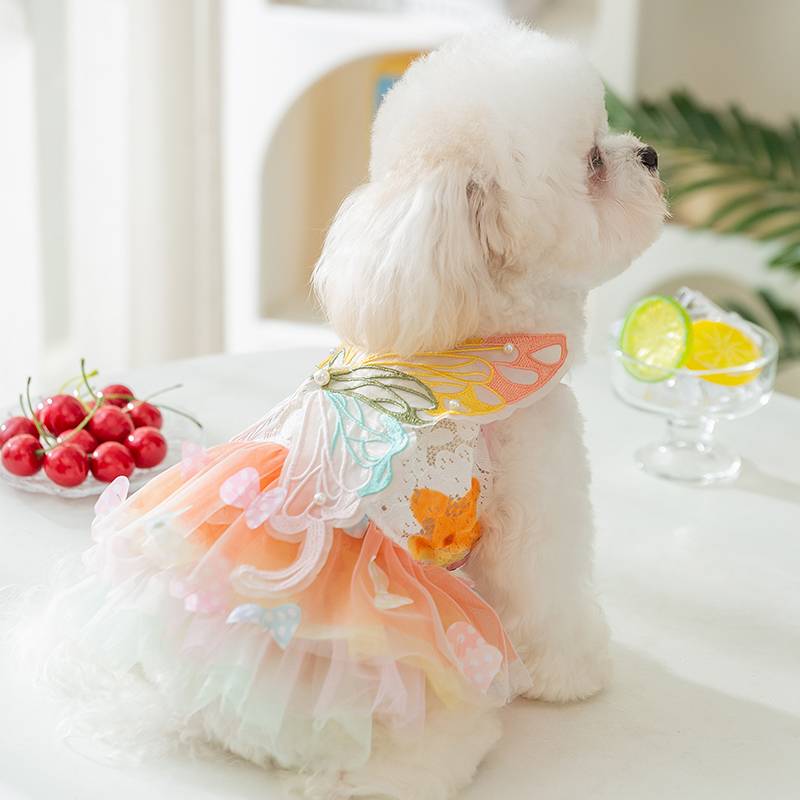 Pet puppy butterfly princess skirt in summer thin clothes than Bear Teddy Yorksham Malzis cat