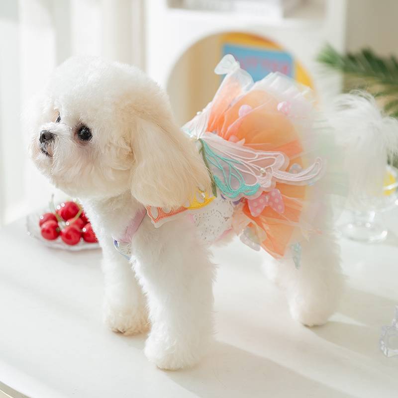 Pet puppy butterfly princess skirt in summer thin clothes than Bear Teddy Yorksham Malzis cat