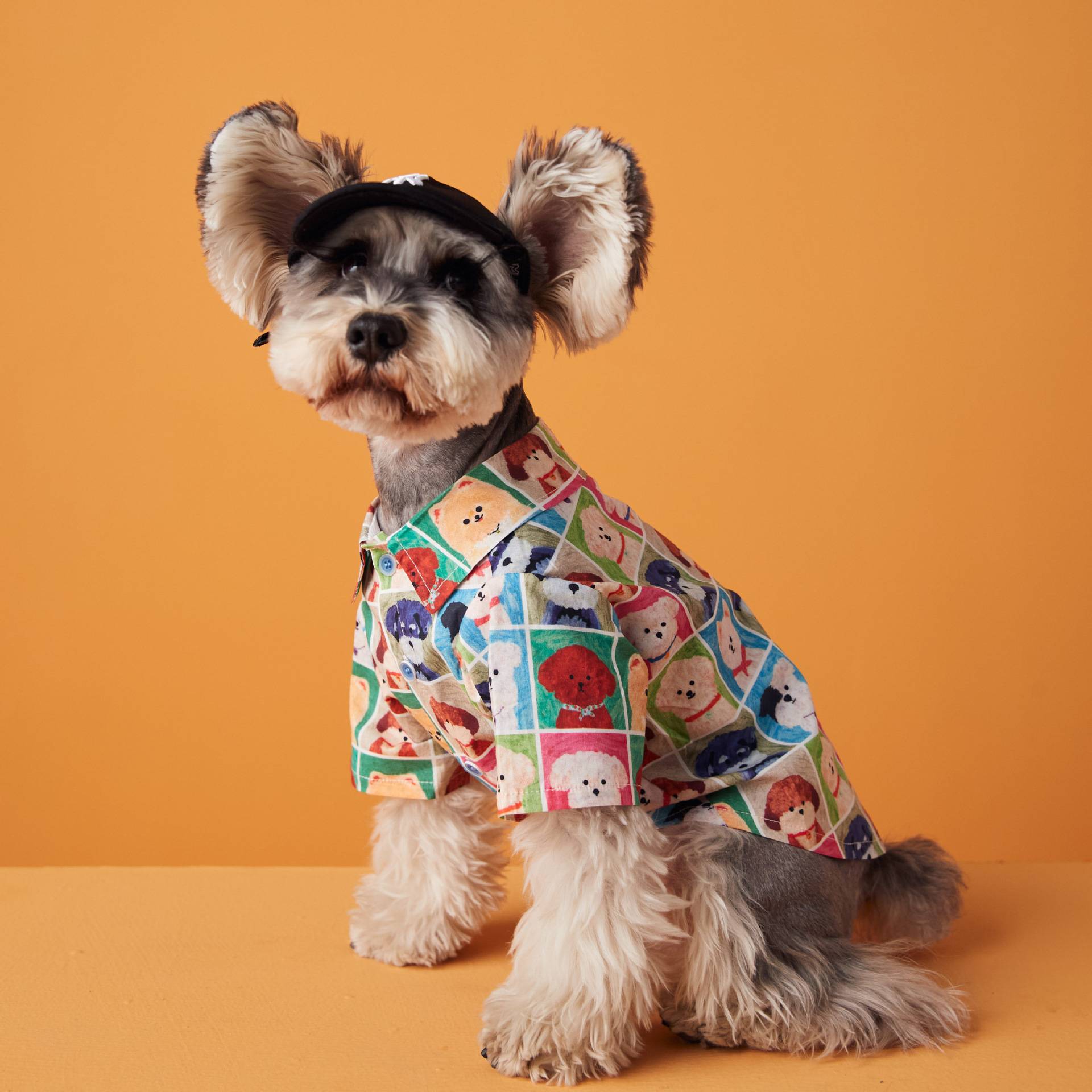 Spring and summer dog clothes printed shirt pet Malzis snownarine Sixdi Teddy Belie Shiba Inu