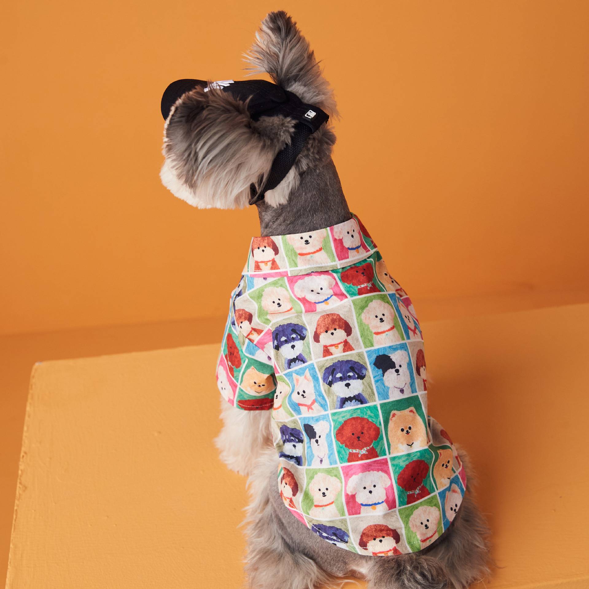 Spring and summer dog clothes printed shirt pet Malzis snownarine Sixdi Teddy Belie Shiba Inu