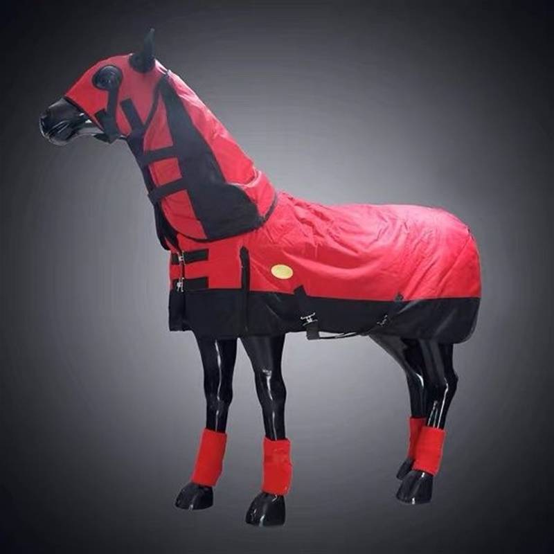 Special -off horses in winter thick horses, rain, rain, cold and anti -cold, and anti -cold and anti -cold, and Malaysian Malaysia