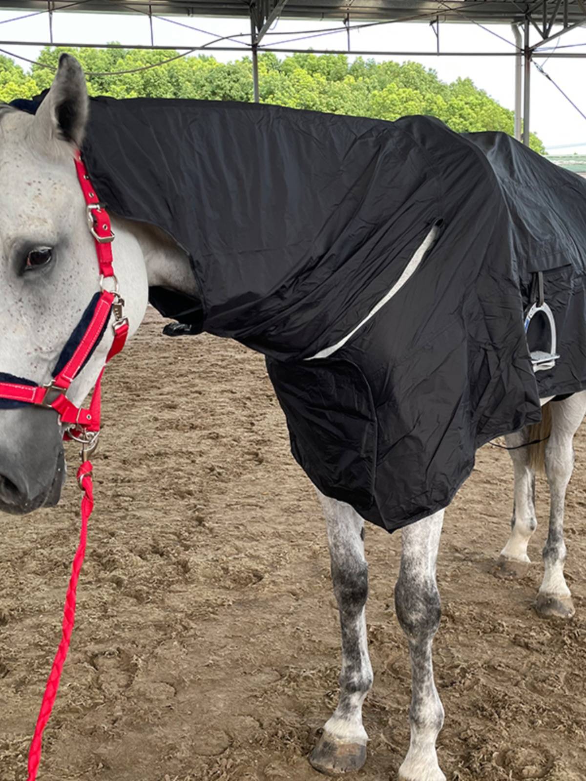 EPONA single -layer waterproof horsepower with a fence, windproof horsepower horses to take a bath