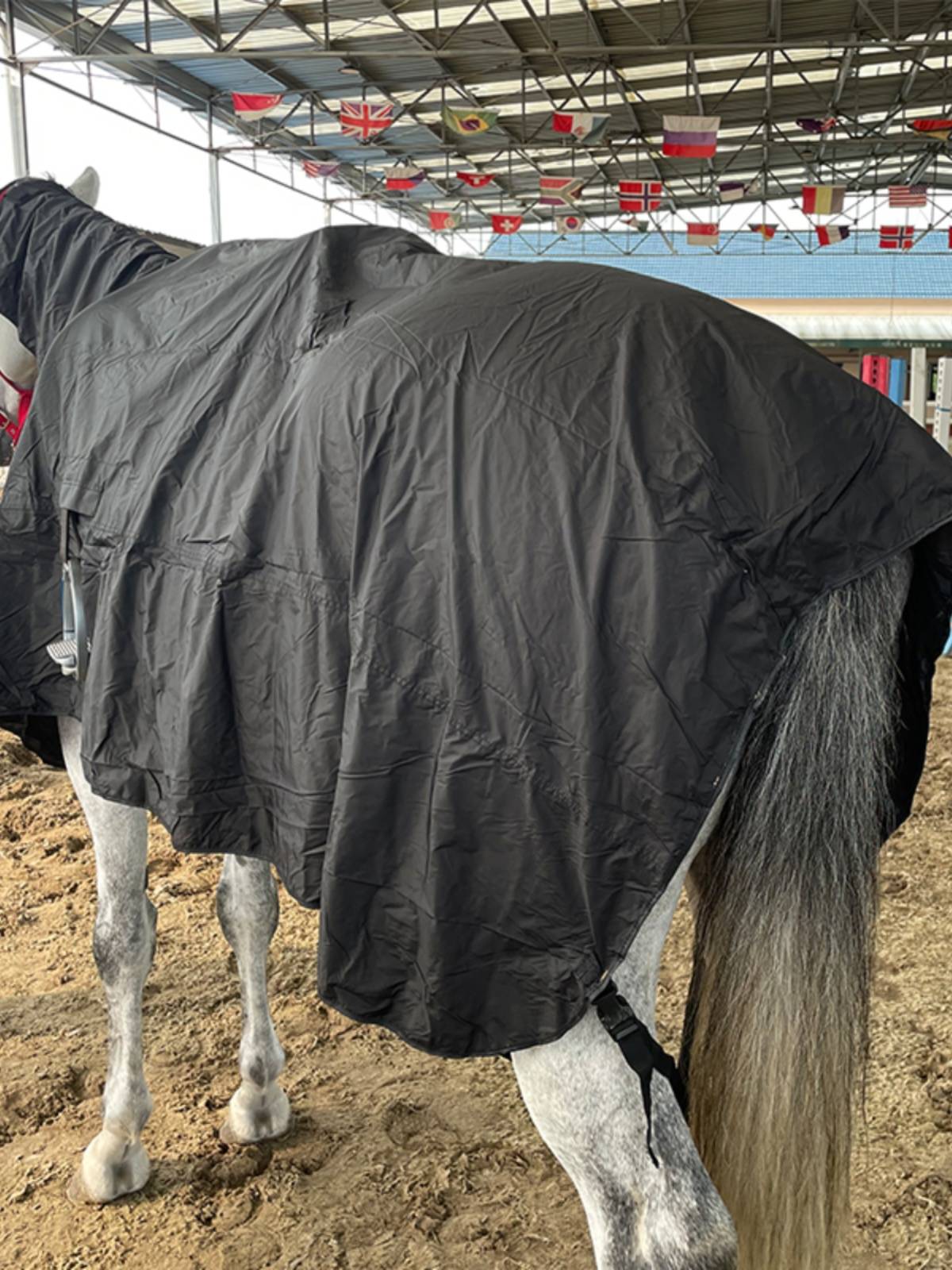 EPONA single -layer waterproof horsepower with a fence, windproof horsepower horses to take a bath
