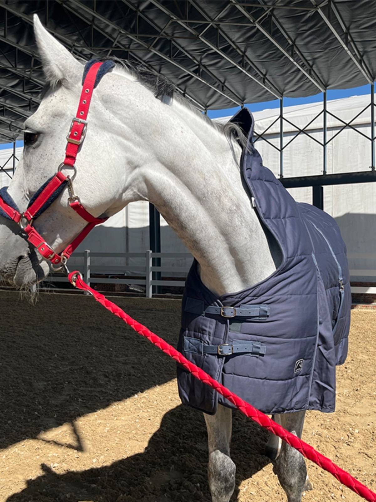 EPONA cotton horse clothing room warm and comfortable horse clothes horses horses horses housing supplies