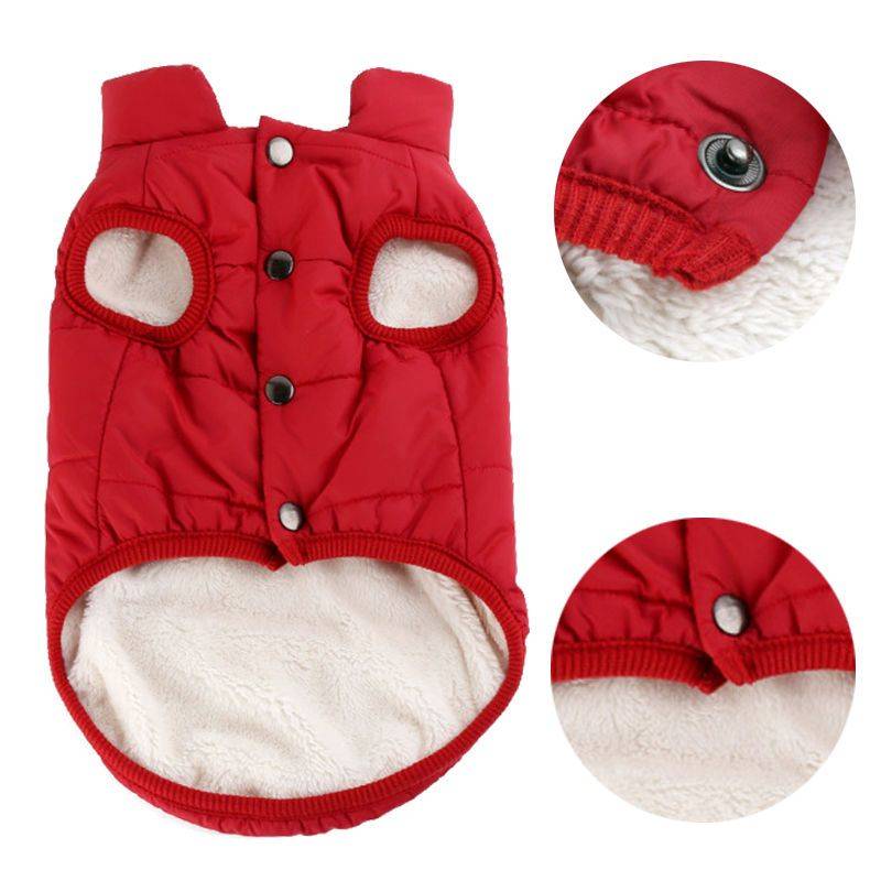 Dog clothes in winter thickened cotton jacket teddy Fasun Fighting better than bear kito clothing large, small, small, small, small, small, small, small, small, small, small, small, small, small, small, small, small, small, small, small, small, small, sma