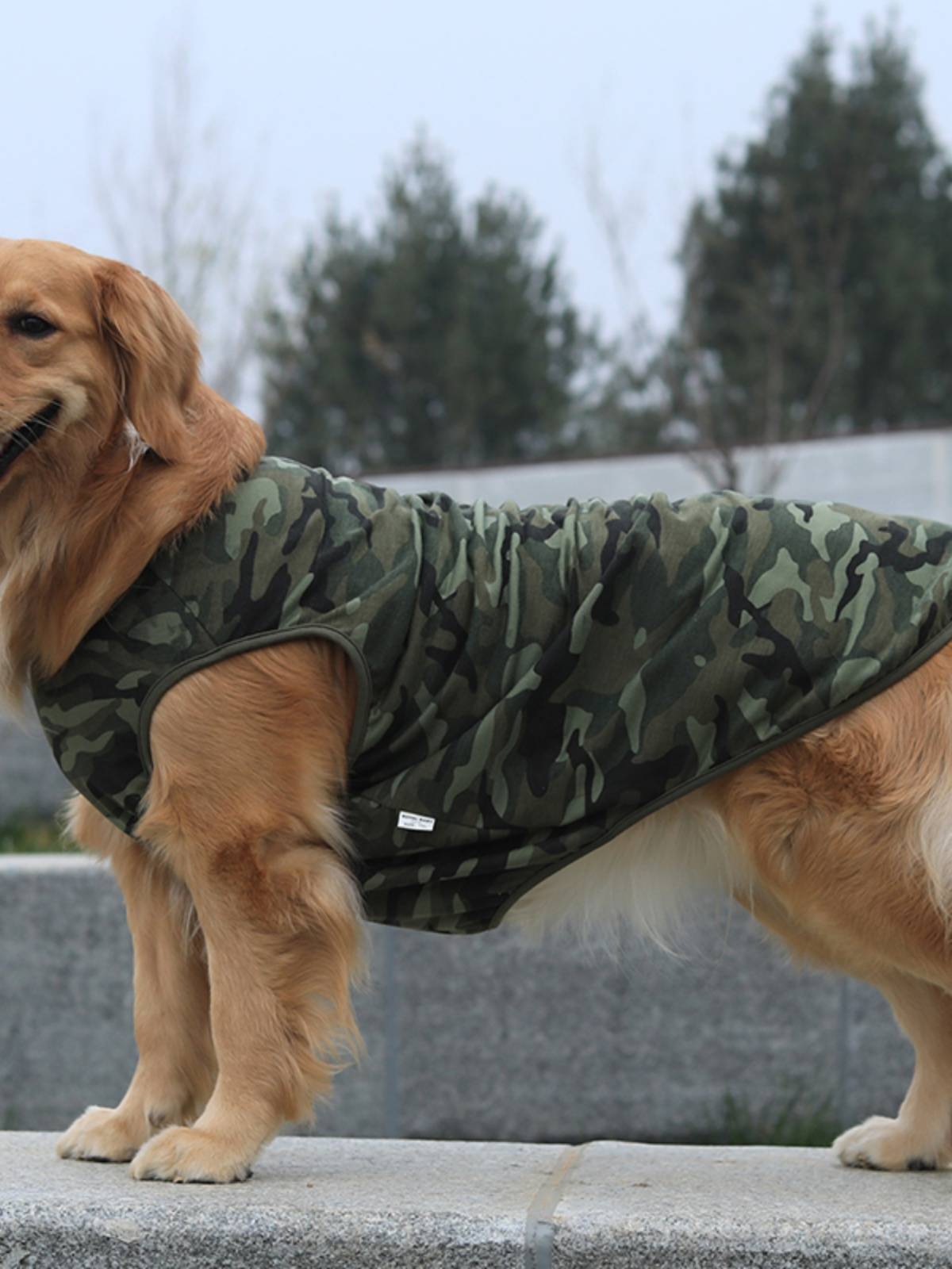 Dog clothes summer camouflage vest tactical police dog vest puppy teddy Bar bears small dog golden retriever