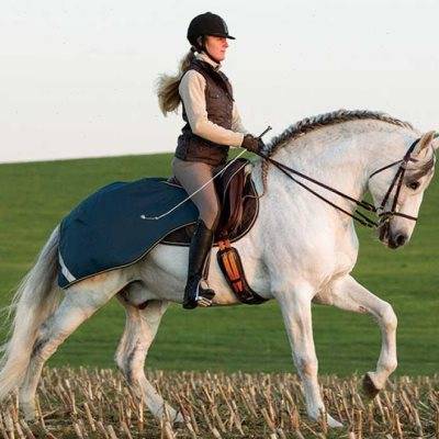 New Ireland 3 -in -1 multi -function training Horse Spring and Autumn Race Mali Training Horse Champion Madrid Deep Blue