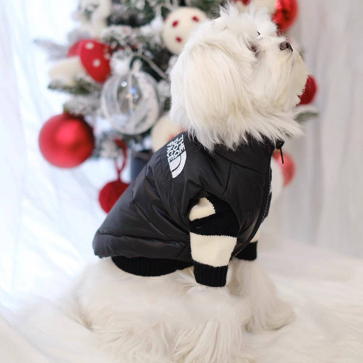 Dog clothes in winter new thickened tide brand teddy Sherry Berbaie small dog warm pet cotton jacket