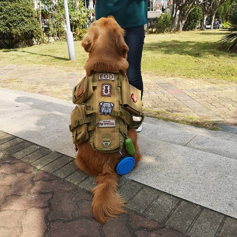 Dog's clothes in large dogs in dog tactical vests Golden Mao Dewan dog chest strap vest pets out of vest