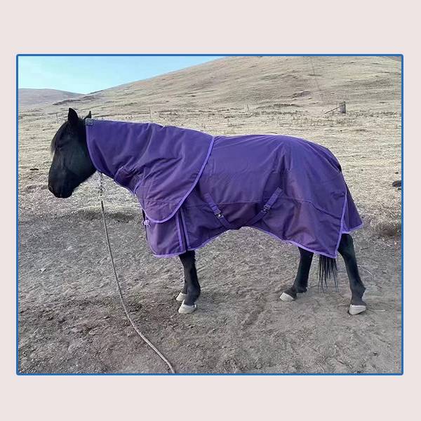 Factory Direct Selling Outdoor Horse Plus Cotton 600D Horse Waterproof Skin -style Horses Warrum Warburning Equestnically Equestnically Equelia Equipment