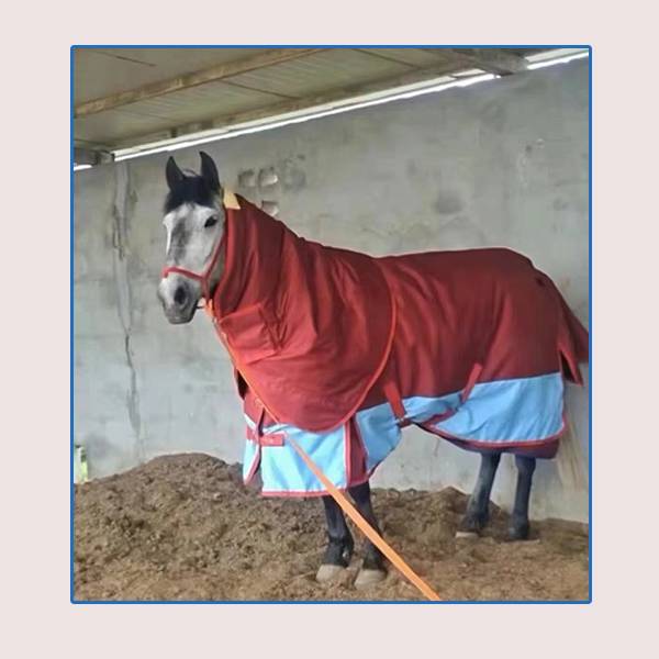Factory Direct Selling Outdoor Horse Plus Cotton 600D Horse Waterproof Skin -style Horses Warrum Warburning Equestnically Equestnically Equelia Equipment