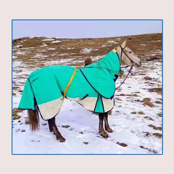 Factory Direct Selling Outdoor Horse Plus Cotton 600D Horse Waterproof Skin -style Horses Warrum Warburning Equestnically Equestnically Equelia Equipment