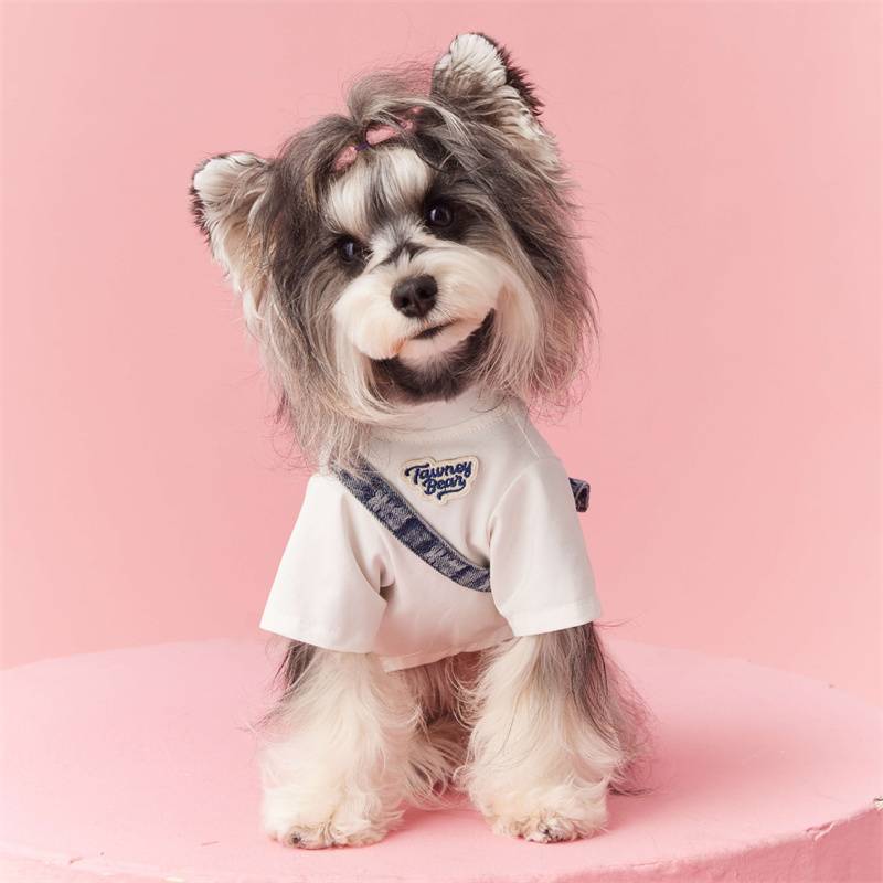 Puppy dogs in summer thin T -shirts in Sherry Berki Teddy Yorkyonia Malzis cat clothes with a backpack