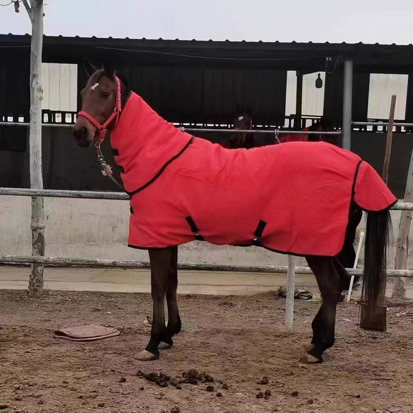 Winter cotton -horsemana thick horse clothes plus cotton horsema coat increases horse sweat blood, BMW Mucky Major horses horses and horses